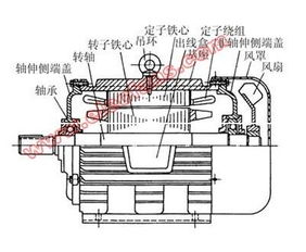马达的构造