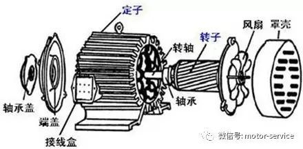 知识┃三相异步电动机基础讲座